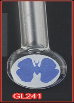 Rice Vials Butterfly (100s)