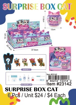 Surprise Box Cat