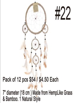 Dream Catchers #22