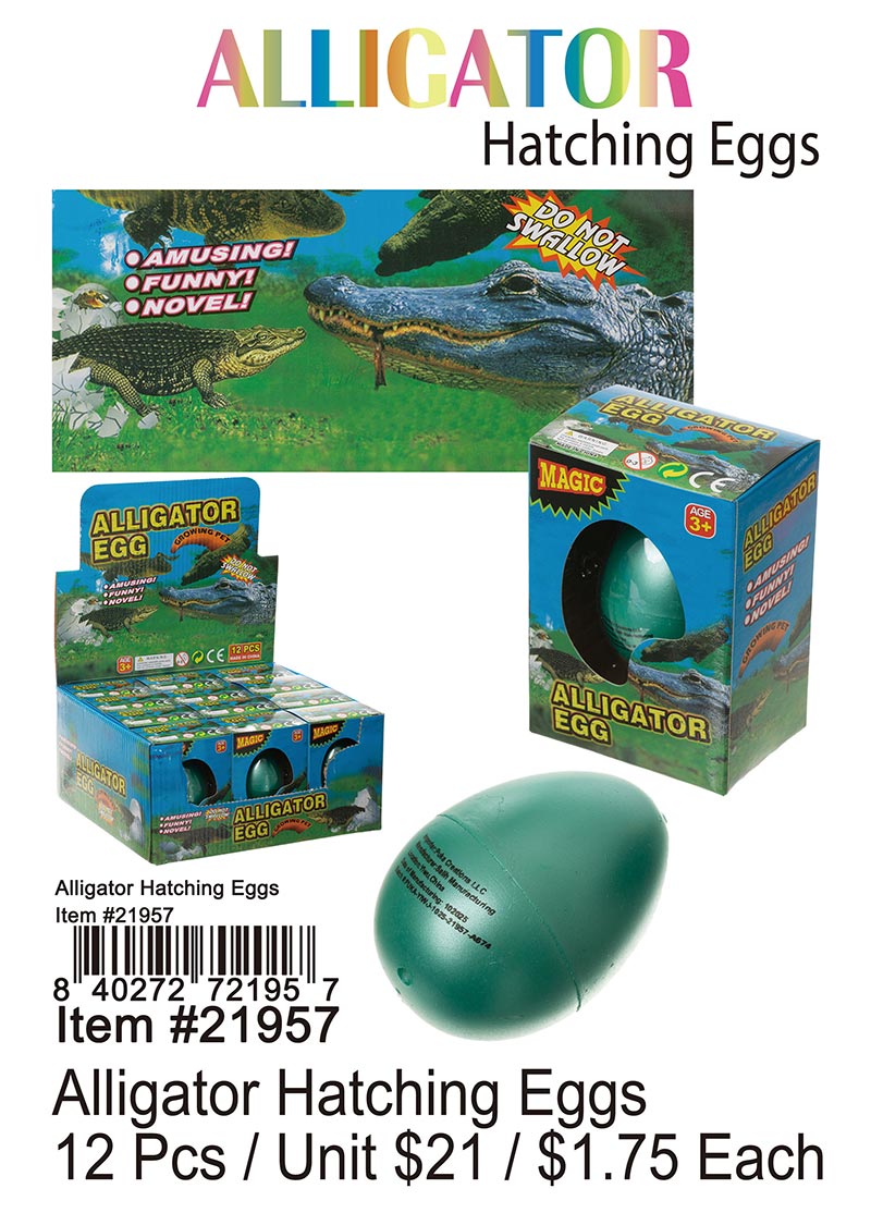 Alligator Hatching Eggs