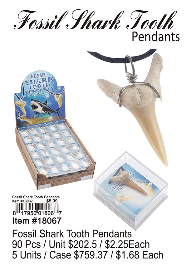 Fossil Shark Tooth Pendants