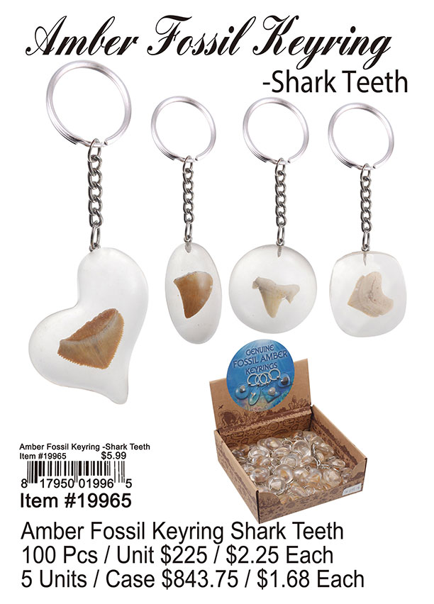 Amber Fossil Keyring Shark Teeth