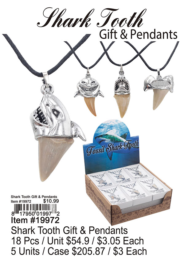 Shark Tooth Gift and Pendants