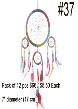 Dream Catchers #37
