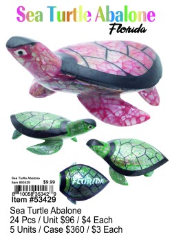 Sea Turtle Abalone-Florida