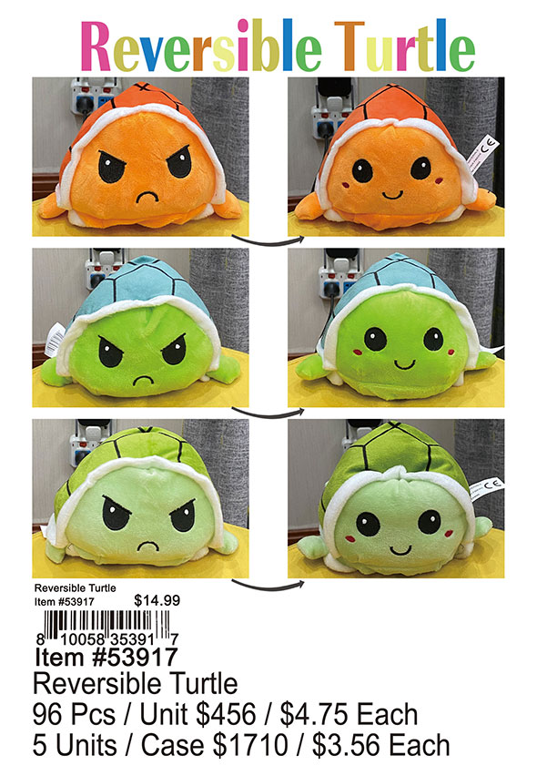 Reversible Turtle