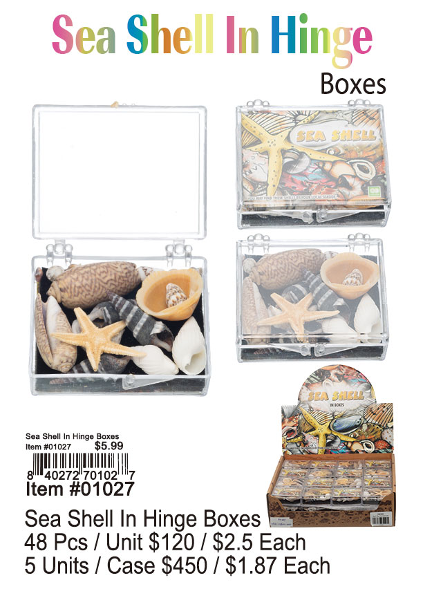 Sea Shell In Hinge Box