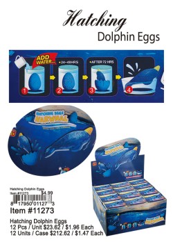 Hatching Dolphin Eggs