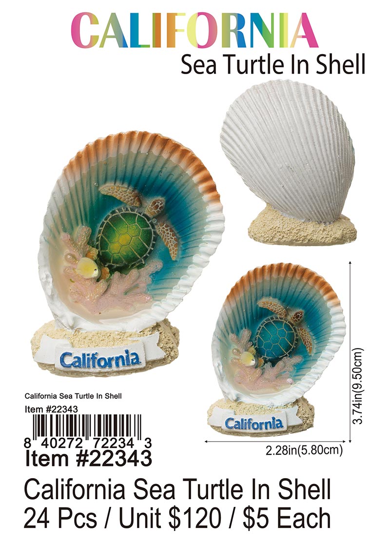 California Sea Turtle In Shell