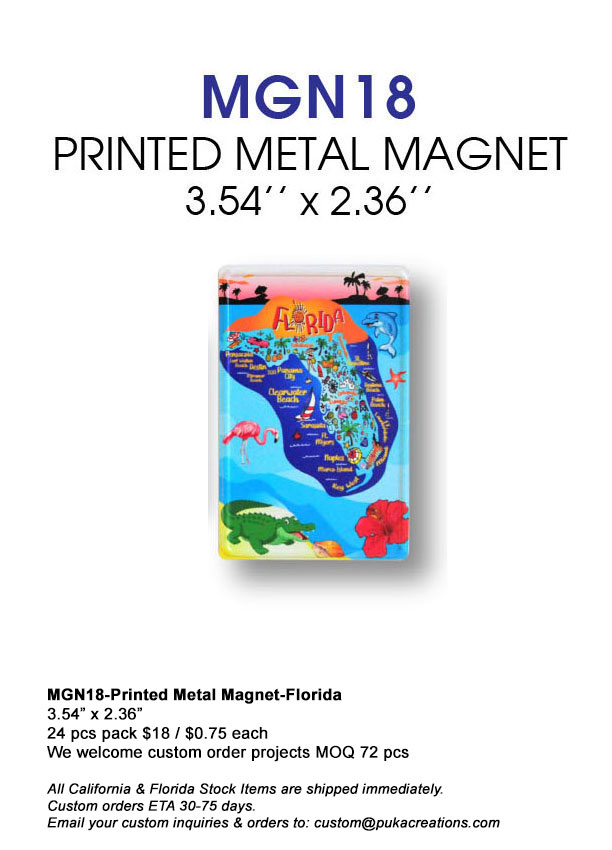 MGN18-Printed Metal Magnet-Florida