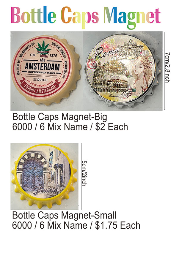 NameDrop-Bottle Caps Magnet-Small