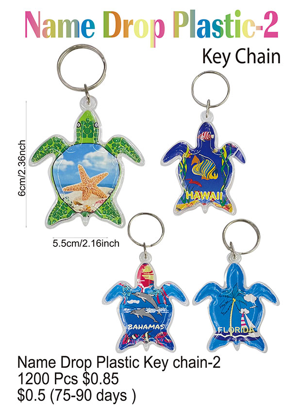 NameDrop-Turtle Key Chain-2