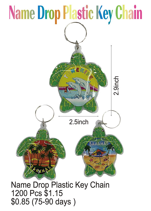 NameDrop-Turtle Key Chain