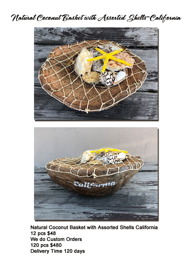 Natural Coconut Basket with Assorted Shells - California